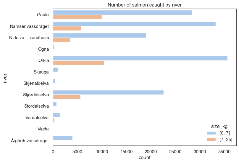 A chart showing salmon catches by river for many seasons. Orkla, Gaula, Namsenvassdraget, Stjørdalselva, Nidelva i Trondheim are the rivers with the most catch.